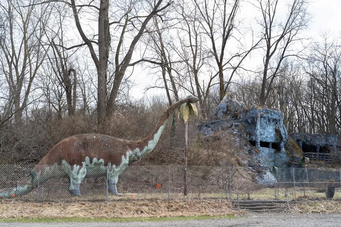 Prehistoric Forest - From The Web (newer photo)